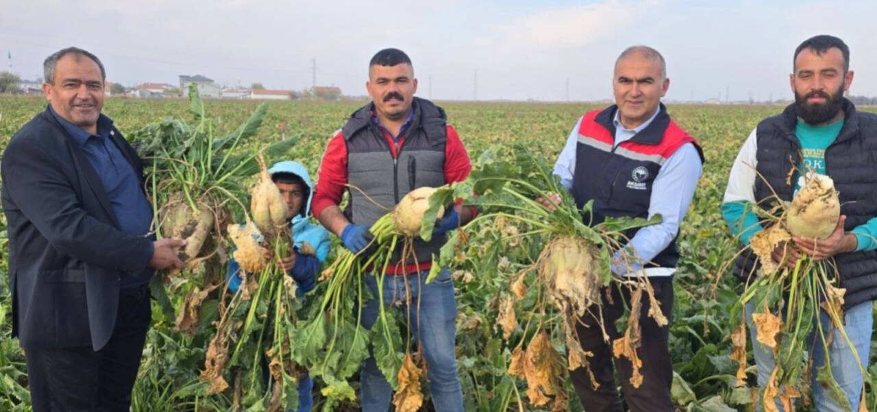 Aksaray’da sonbahar hasadı tüm hızıyla devam ederken, pancar üreticileri tarlalarda