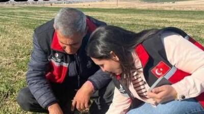Aksaray İl Tarım ve Orman Müdürlüğü ekipleri, tarla faresiyle mücadele