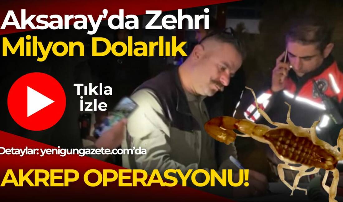 Sarı akrep ticareti yapan şüpheli yakalandı; gramı binlerce dolara satılan