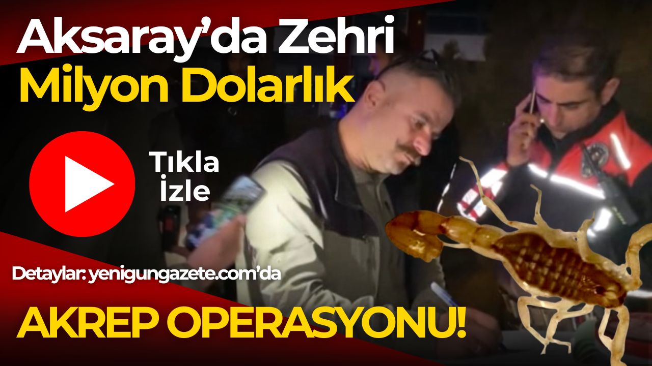Sarı akrep ticareti yapan şüpheli yakalandı; gramı binlerce dolara satılan