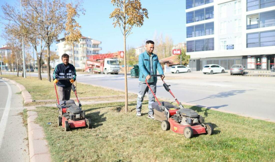Aksaray Belediyesi, şehir genelinde yürüttüğü yeşil alan bakım çalışmalarına hız