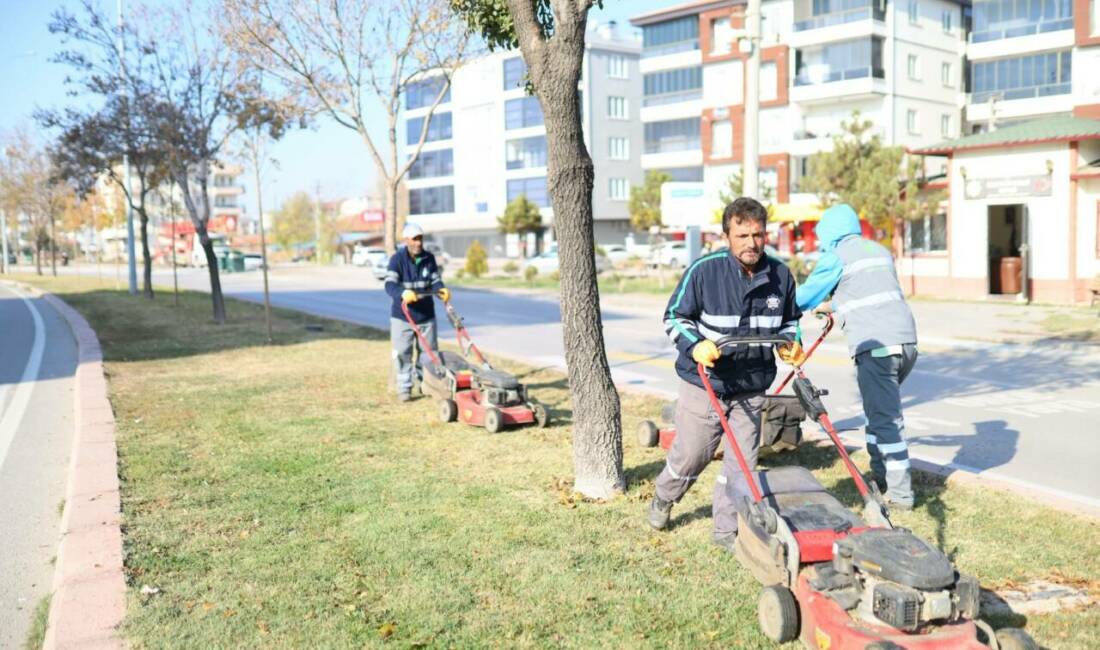 Aksaray Belediyesi, şehir genelinde yürüttüğü çevre düzenleme ve peyzaj çalışmalarıyla