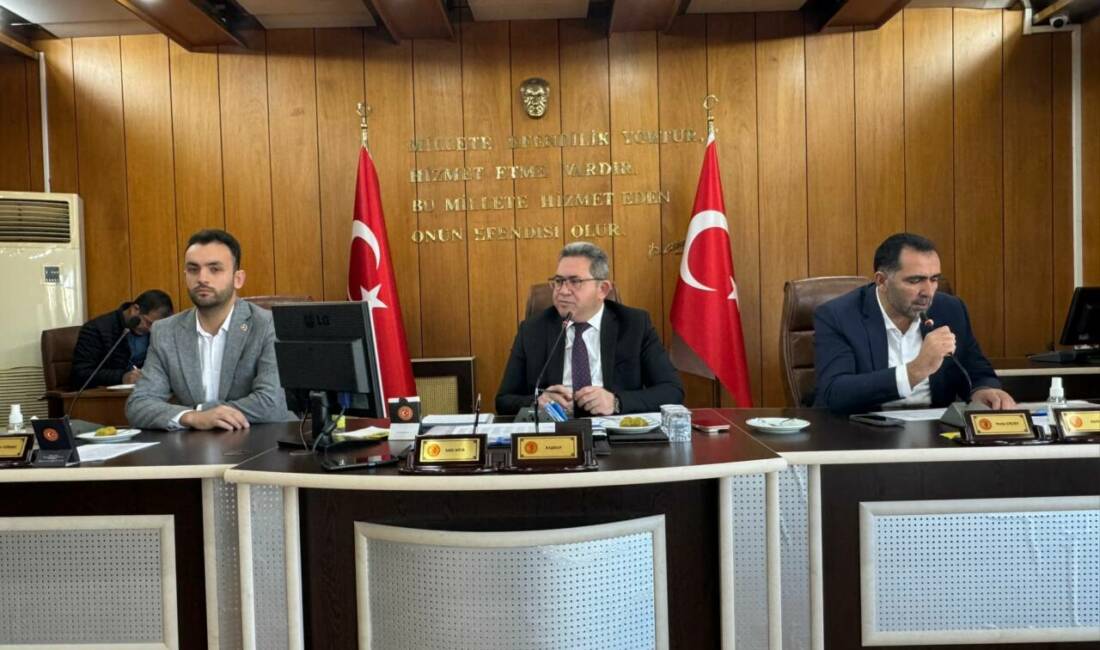 İl Genel Meclisi, 1 milyar 663 milyon liralık 2026 taslak