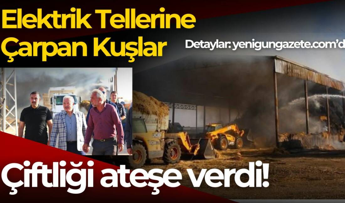 Aksaray Sultanhanı’nda kuş sürüsünün yüksek gerilim hattına çarpması sonucu çıkan
