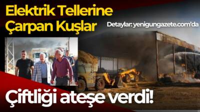 Aksaray Sultanhanı’nda kuş sürüsünün yüksek gerilim hattına çarpması sonucu çıkan