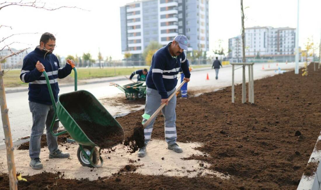 Aksaray Belediyesi, Tacin Mahallesi ve Aksaray Eğitim ve Araştırma Hastanesi