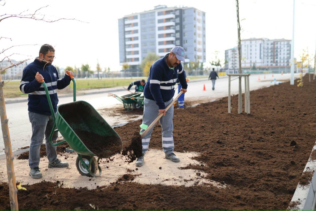 Aksaray Belediyesi, Tacin Mahallesi ve Aksaray Eğitim ve Araştırma Hastanesi
