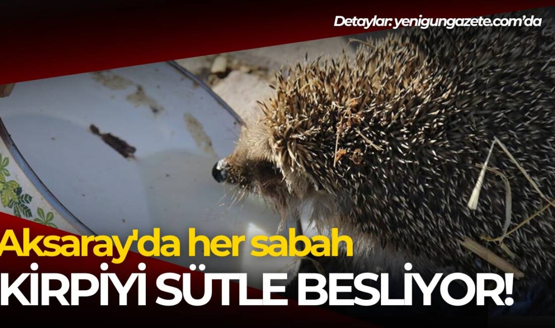 Aksaray'ın Eskil ilçesinde besi çiftliği bulunan Veli İnce, yanına gelen