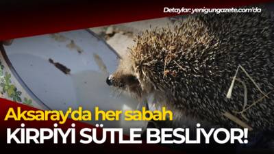 Aksaray'ın Eskil ilçesinde besi çiftliği bulunan Veli İnce, yanına gelen