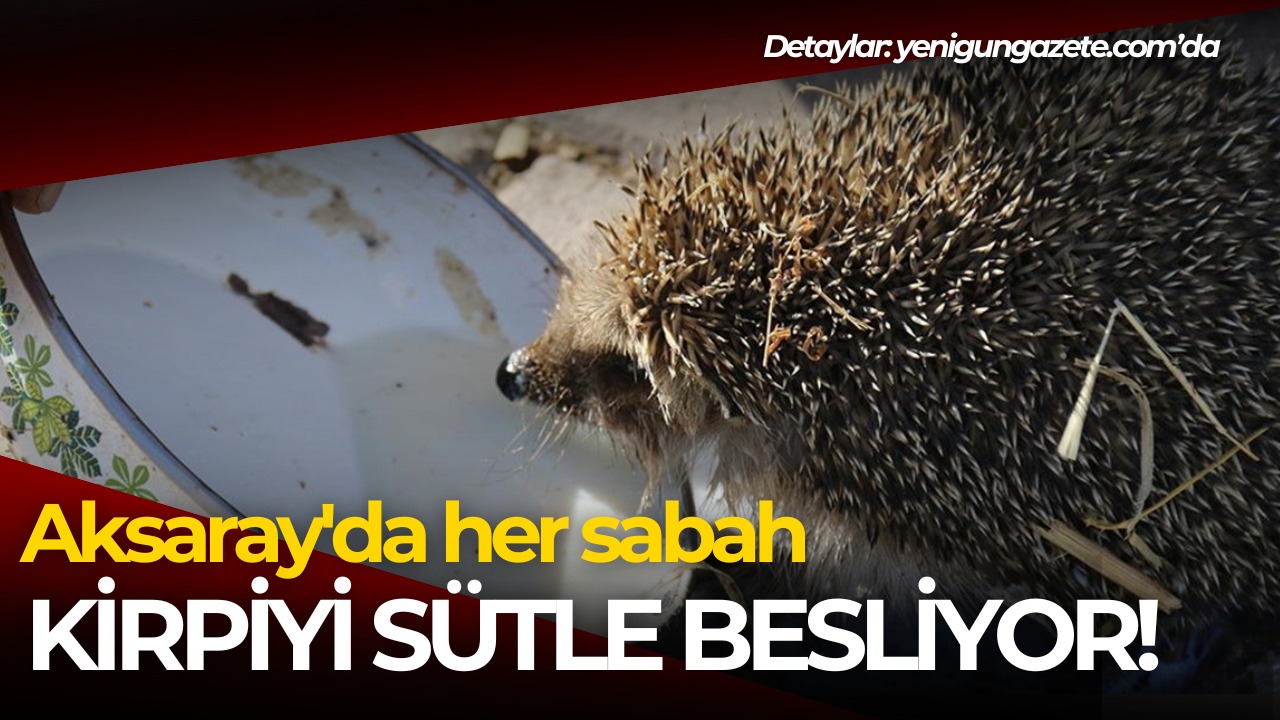 Aksaray'ın Eskil ilçesinde besi çiftliği bulunan Veli İnce, yanına gelen