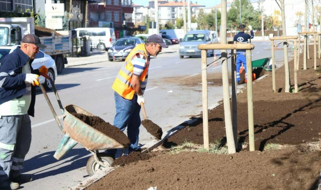 Aksaray Belediyesi, şehir estetiğini güçlendirmek ve yeşil alanları artırmak amacıyla
