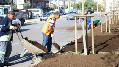 Aksaray Belediyesi, şehir estetiğini güçlendirmek ve yeşil alanları artırmak amacıyla