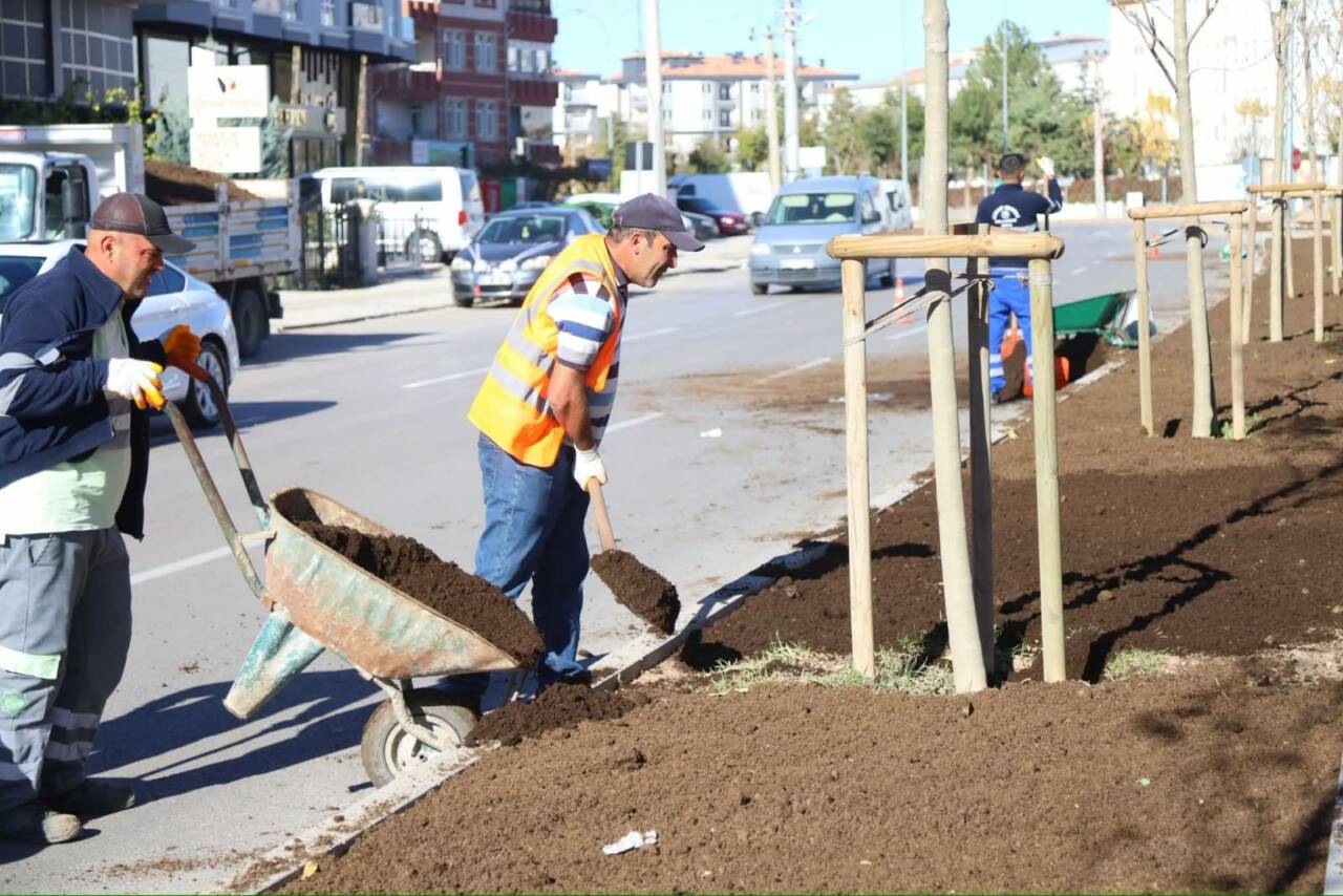 Aksaray Belediyesi, şehir estetiğini güçlendirmek ve yeşil alanları artırmak amacıyla