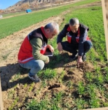 Aksaray İl Tarım ve Orman Müdürlüğü Bitkisel Üretim ve Bitki