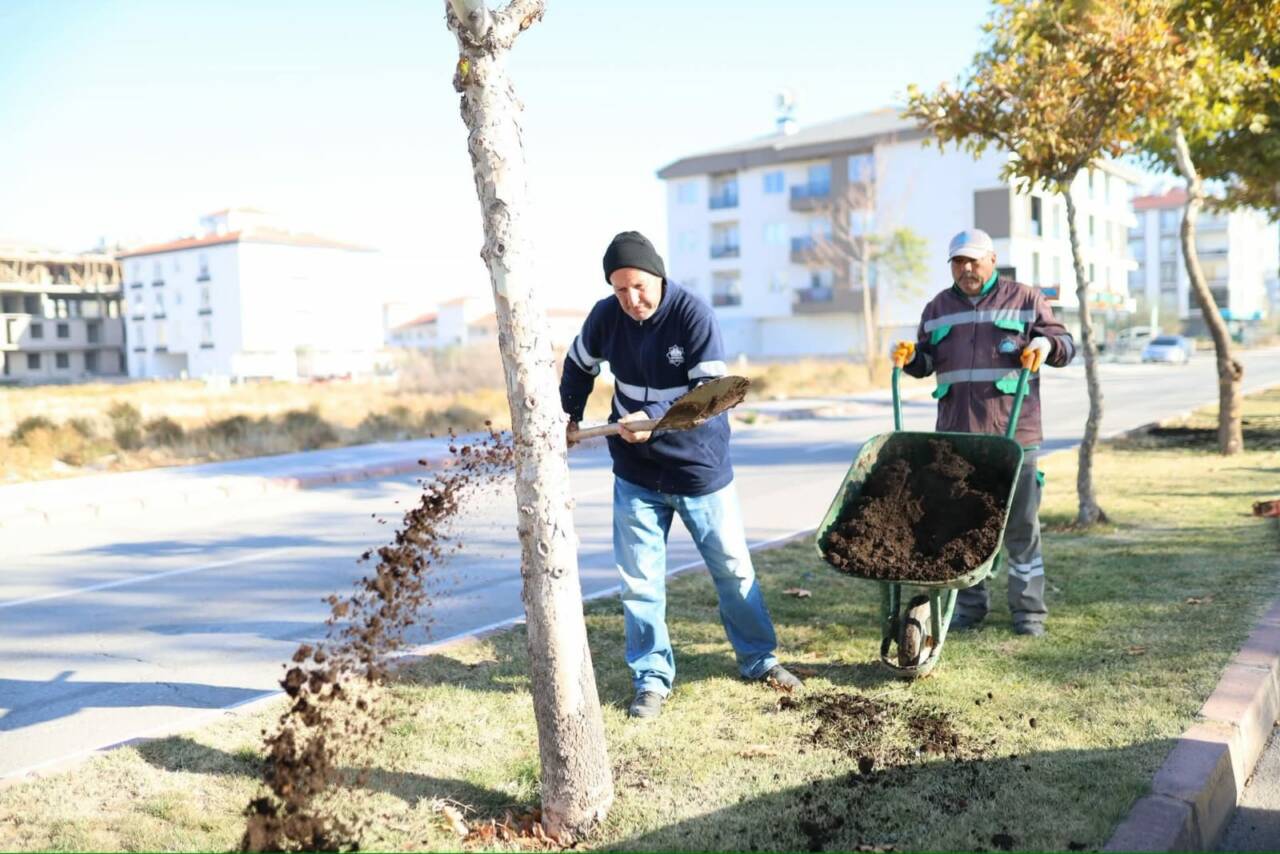 Aksaray Belediyesi, Selçuk Caddesinde çim ekimi ve yeşil alan düzenlemesi
