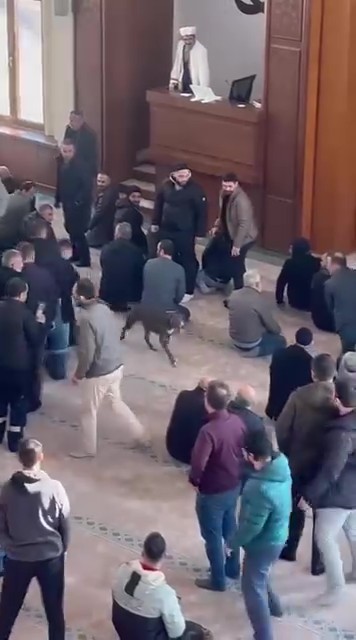 Kocaeli’de cuma namazı öncesinde bir camiye başıboş pitbull cinsi köpek