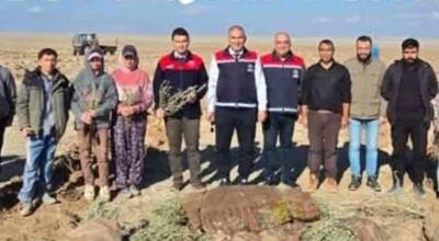 Aksaray merkeze bağlı Eskil ilçesinde yürütülen mera ıslah ve amenajman