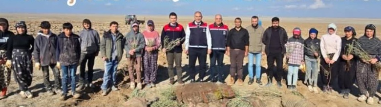 Aksaray merkeze bağlı Eskil ilçesinde yürütülen mera ıslah ve amenajman
