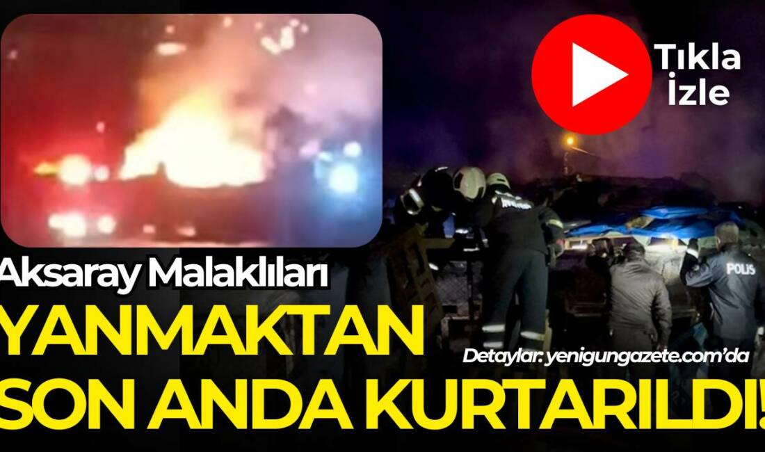 Köpek barınağında çıkan yangın korku dolu anlar yaşattı! Köpekler yanmaktan