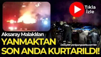 Köpek barınağında çıkan yangın korku dolu anlar yaşattı! Köpekler yanmaktan