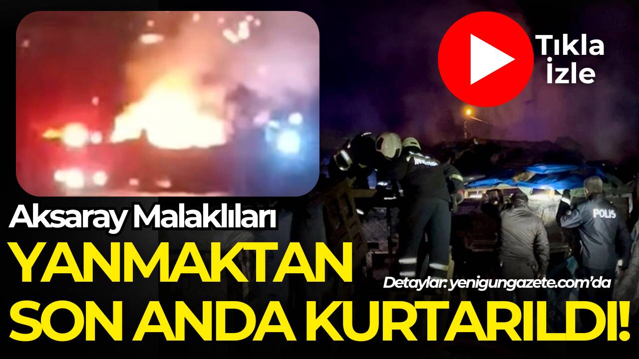 Köpek barınağında çıkan yangın korku dolu anlar yaşattı! Köpekler yanmaktan