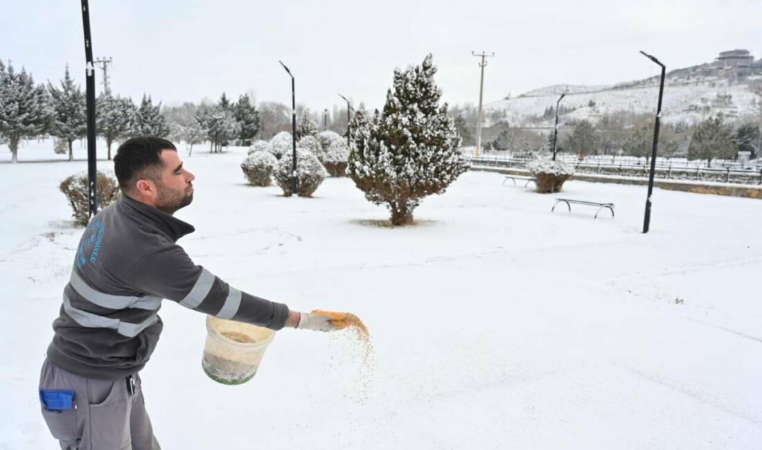 Aksaray’da kar ile birlikte soğuk havanın etkisini artırdığı günlerde, doğada
