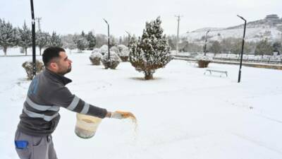 Aksaray’da etkili olan kar yağışıyla birlikte, yiyecek bulmakta zorlanan kuş