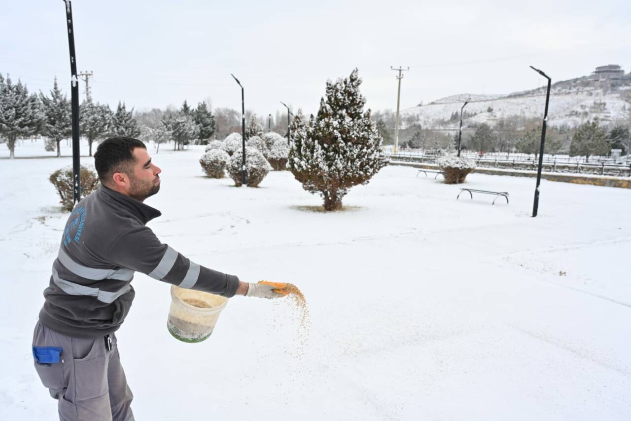 Aksaray’da etkili olan kar yağışıyla birlikte, yiyecek bulmakta zorlanan kuş