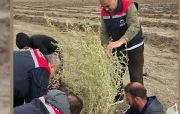 Aksaray İli Sultanhanı İlçesinde, mera ıslah ve amenajman çalışmaları kapsamında
