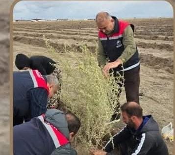 Aksaray İli Sultanhanı İlçesinde, mera ıslah ve amenajman çalışmaları kapsamında