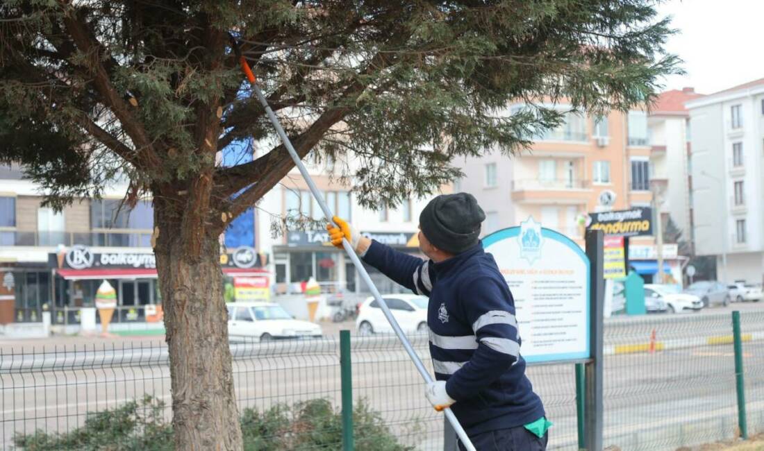 Aksaray Belediyesi, kent genelinde sürdürdüğü çevre düzenleme ve yeşil alan