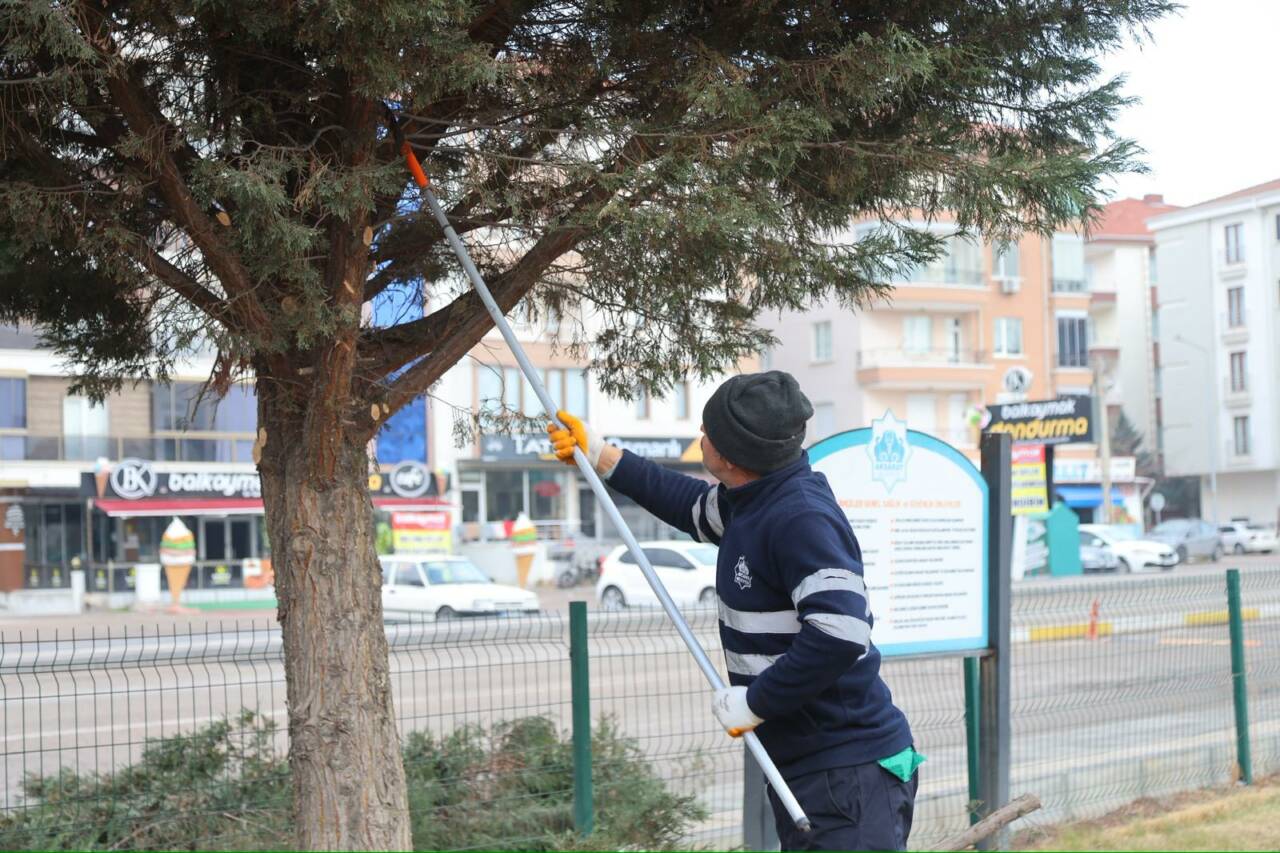 Aksaray Belediyesi, kent genelinde sürdürdüğü çevre düzenleme ve yeşil alan