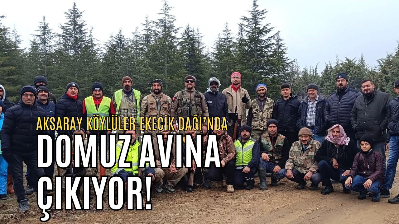Aksaray Balcı’da sürek avı, Ekecik Dağı’nda artan domuz zararı nedeniyle