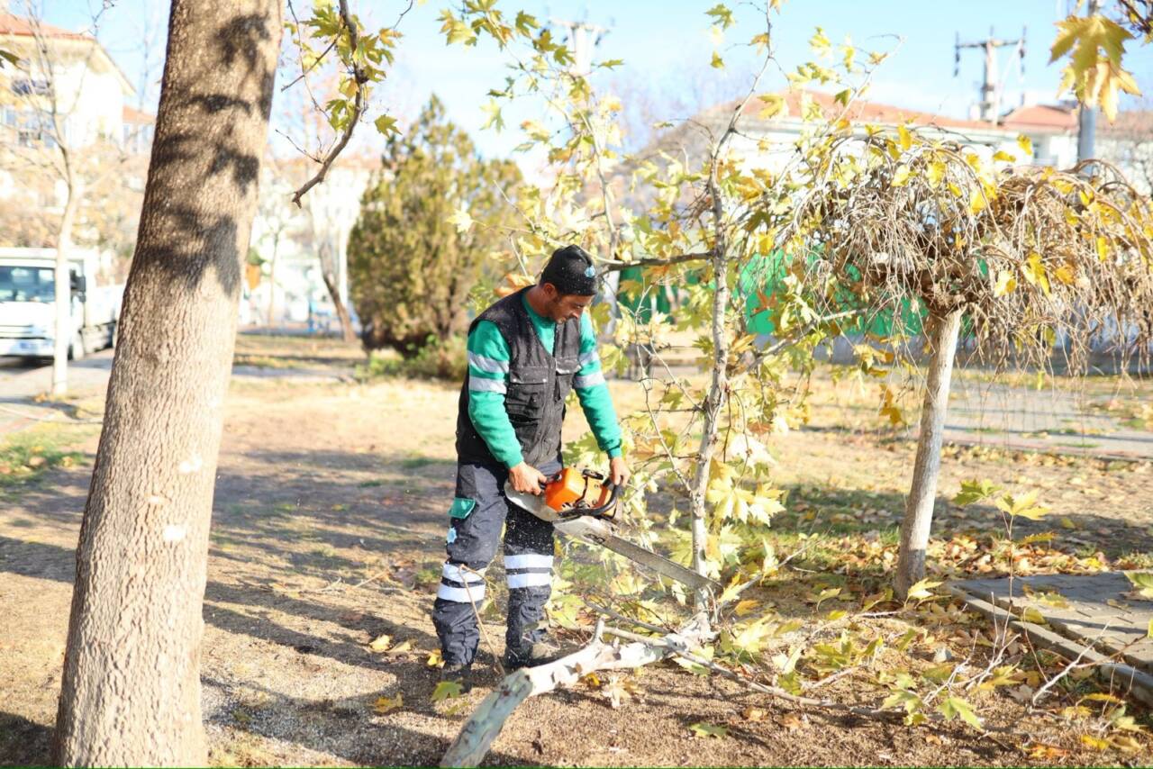 Aksaray Belediyesi, şehir genelindeki parklarda gerçekleştirdiği titiz ağaç budama çalışmalarıyla