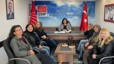 CHP Aksaray İl Kadın Kolları, İl Kadın Kolları Başkanı Elif