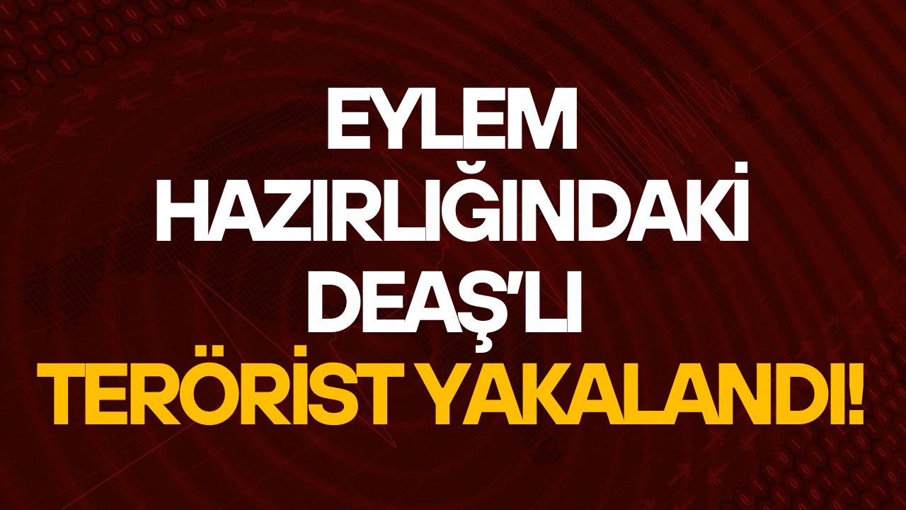 Yeni yılda eylem yapma hazırlığında olan terör örgütü Milli İstihbarat