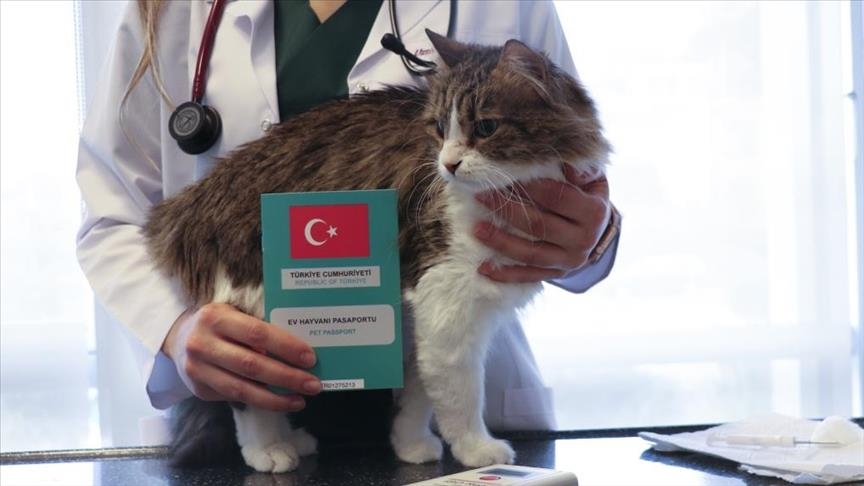 Aksaray Tarım İl Müdürlüğü, kedi ve köpek kimliklendirme işlemleri için