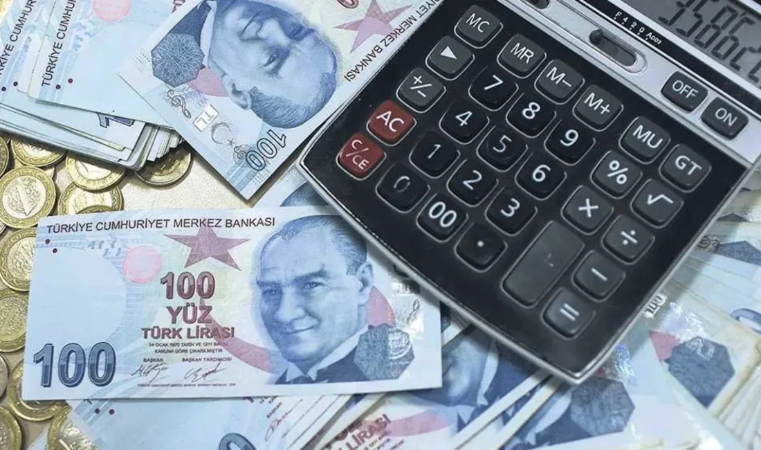 Türkiye İstatistik Kurumu (TÜİK), 2024 yılına ilişkin satınalma gücü paritesi