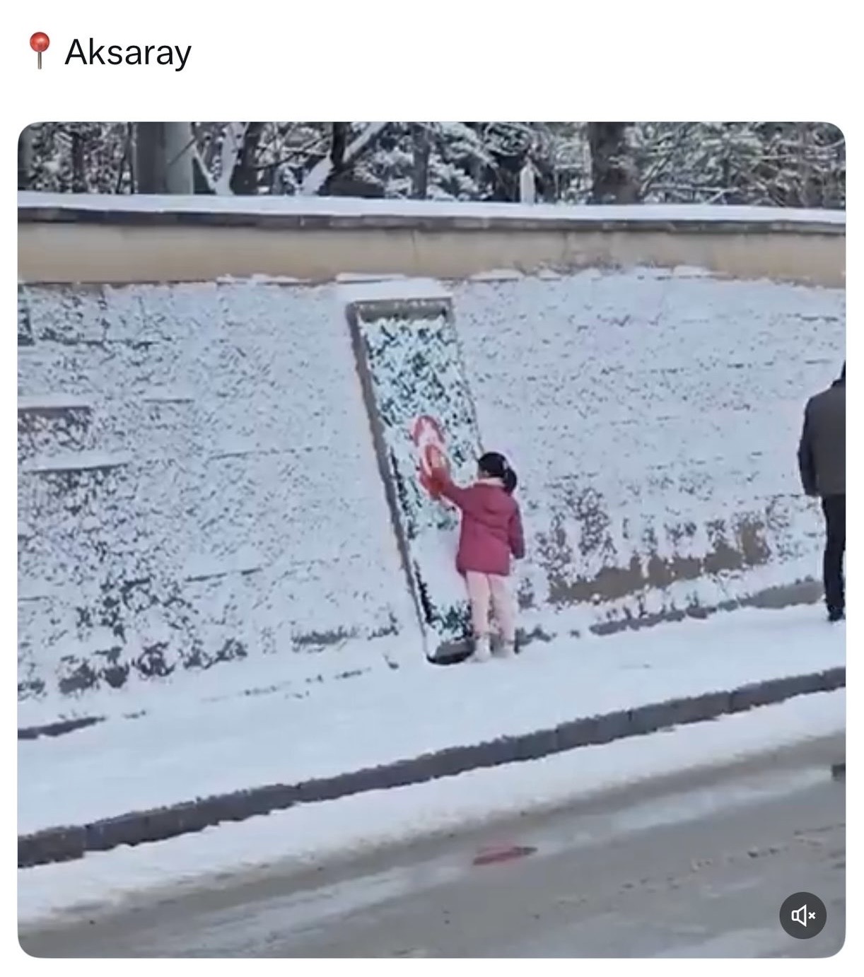 Aksaray’da yoğun kar yağışı sırasında Türk bayrağını kardan temizleyip öpen