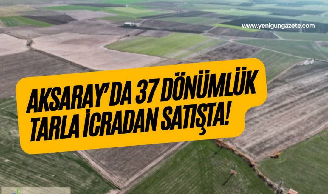 Aksaray İcra Dairesi, Yenikent Kasabasında bulunan 37 bin 300 metrekare