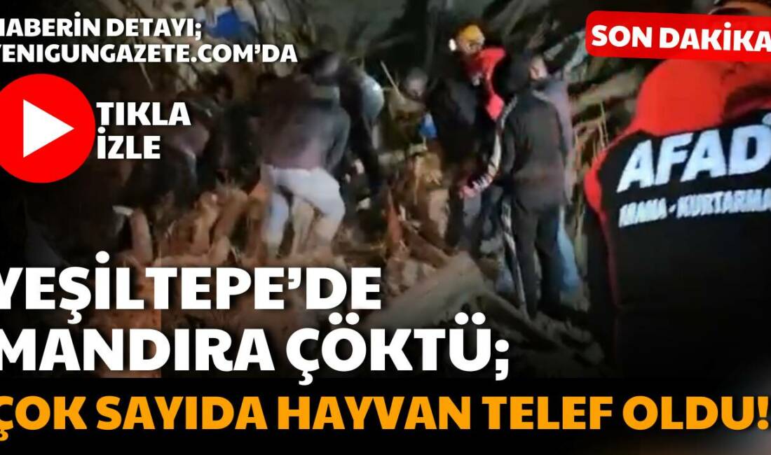 Aksaray merkez ilçeye bağlı Yeşiltepe Kasabası’nda bir mandıranın çökmesi sonucu
