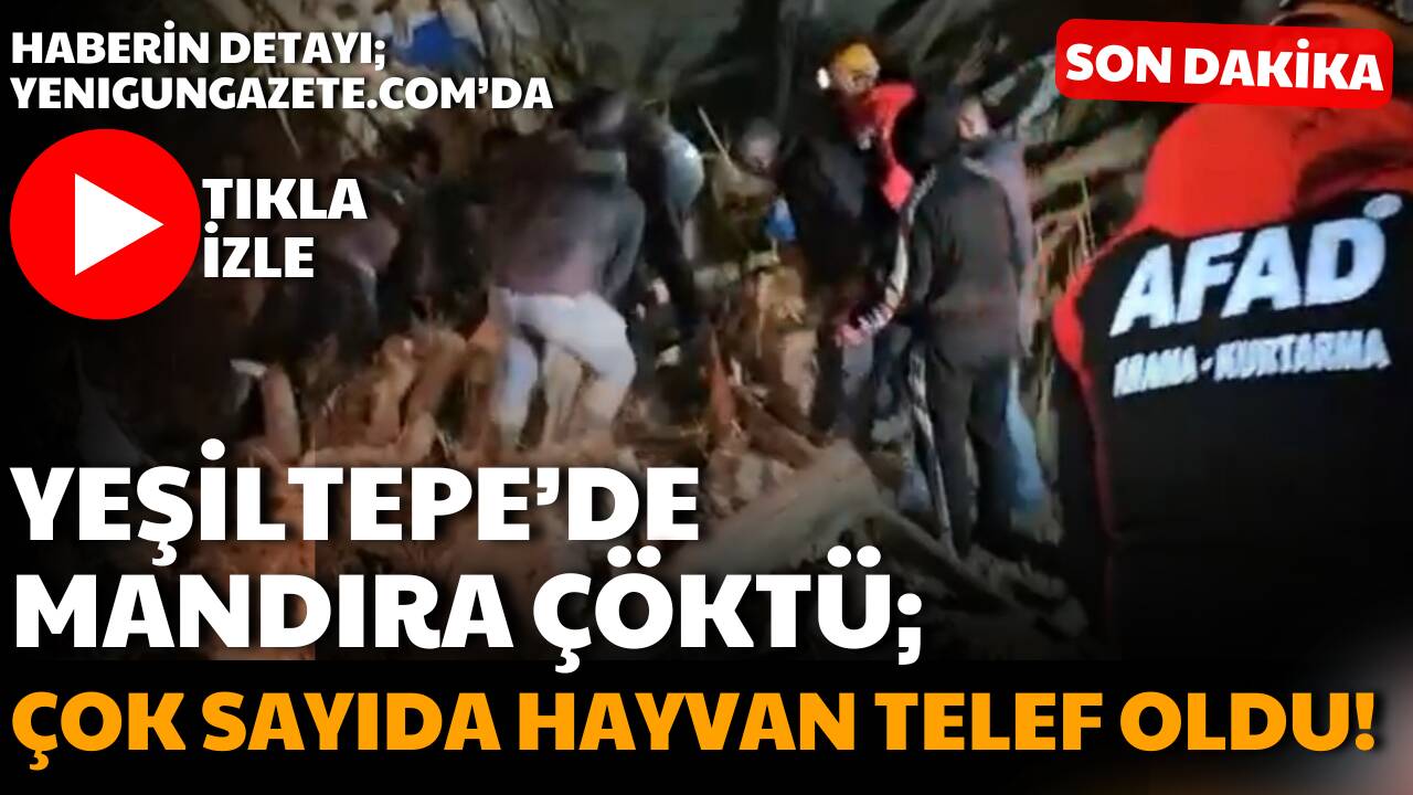 Aksaray merkez ilçeye bağlı Yeşiltepe Kasabası’nda bir mandıranın çökmesi sonucu