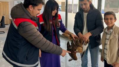 Sultanhanı ilçesinde arazide yaralı halde bulunan bir şahin, duyarlı gençlerin