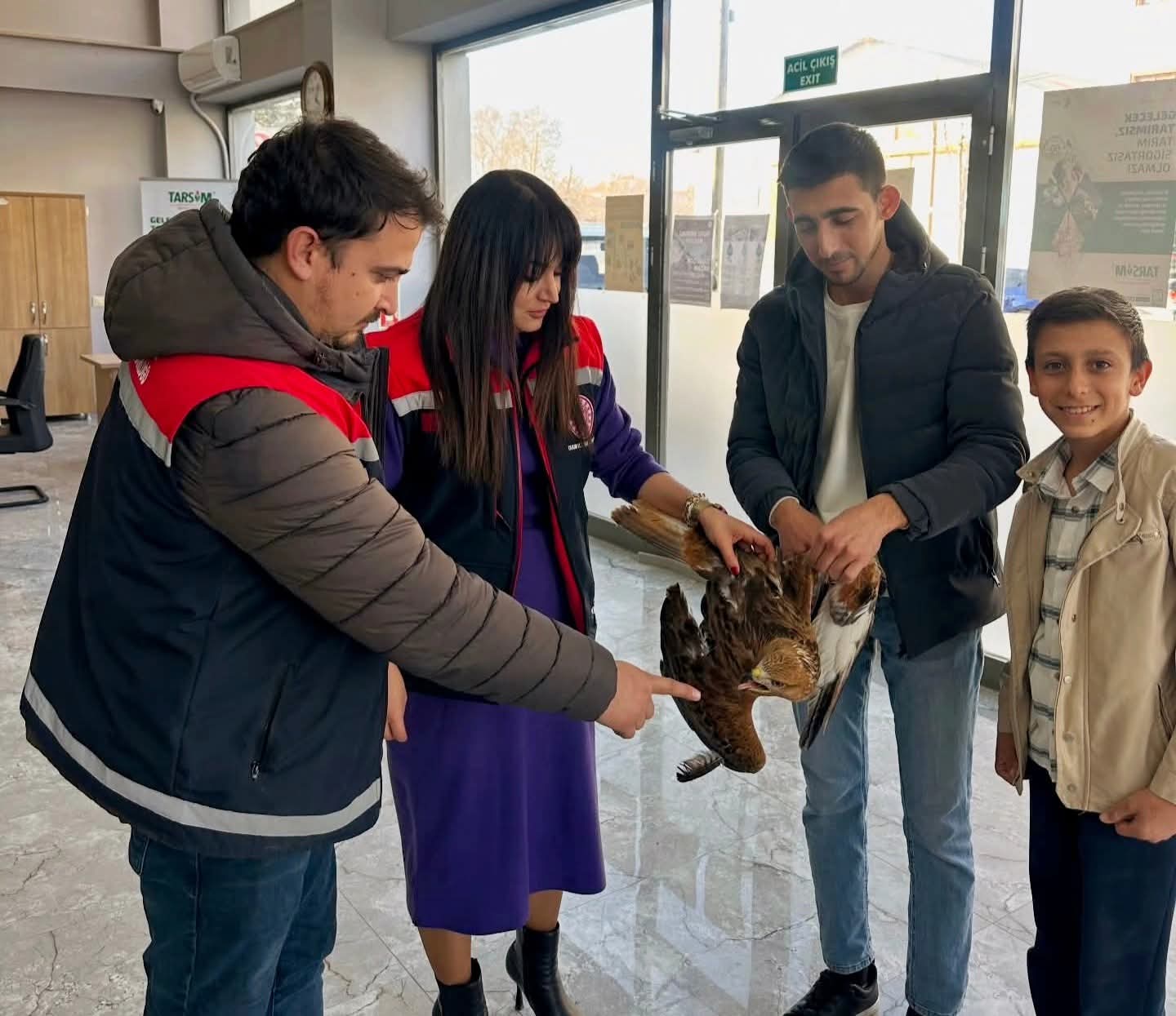 Sultanhanı ilçesinde arazide yaralı halde bulunan bir şahin, duyarlı gençlerin