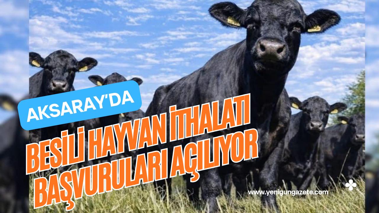 Aksaray Tarım ve Orman Müdürlüğü, 2026 yılı besili hayvan ithalatı