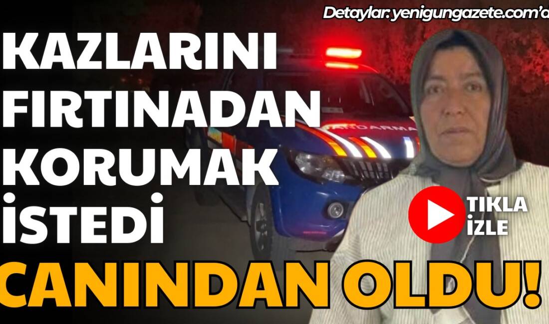 Aksaray’ın Güzelyurt ilçesine bağlı Belisırma köyü’nde fırtına nedeniyle kazlarını kümese