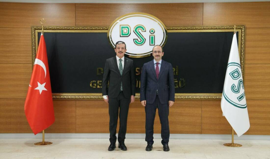 AK Parti Aksaray İl Başkanı Hamza Aktürk, Devlet Su İşleri