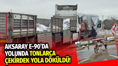 Aksaray’da Organize Sanayi Bölgesi’nden Buğday Pazarı’na giden çekirdek yüklü tırın