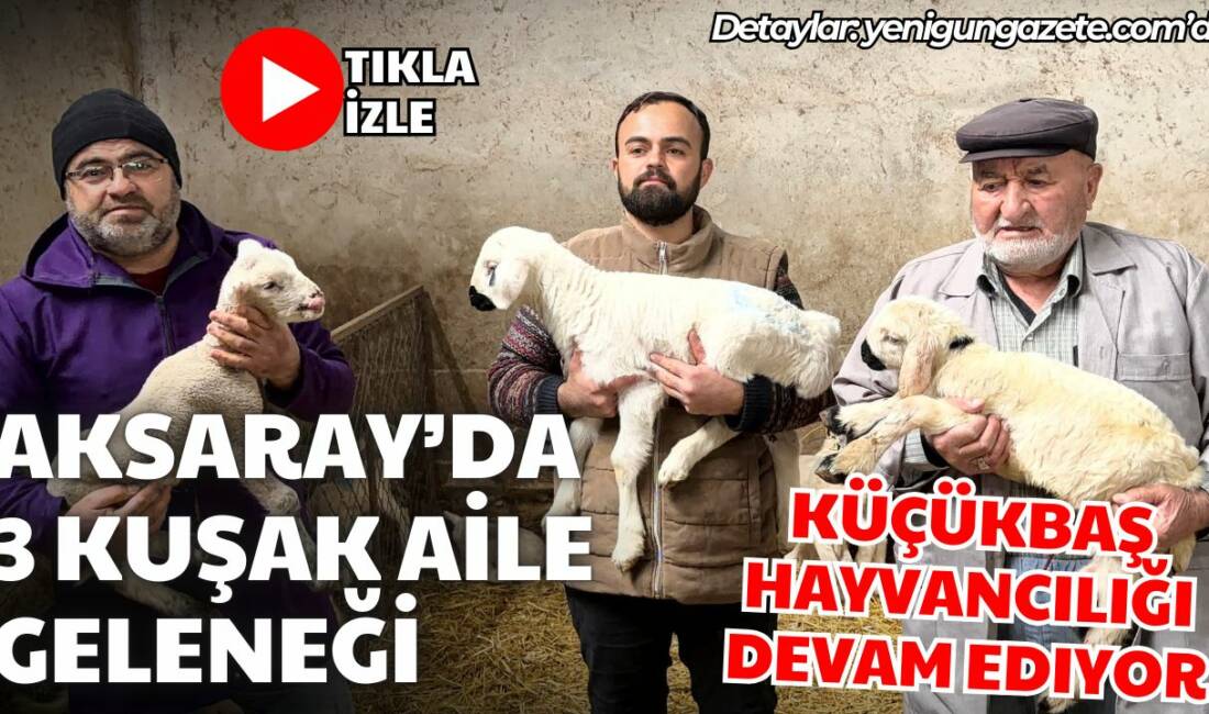 Aksaray Acıpınar Köyünde Aktürk ailesi, dededen toruna üç kuşaktır küçükbaş
