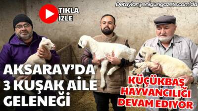 Aksaray Acıpınar Köyünde Aktürk ailesi, dededen toruna üç kuşaktır küçükbaş